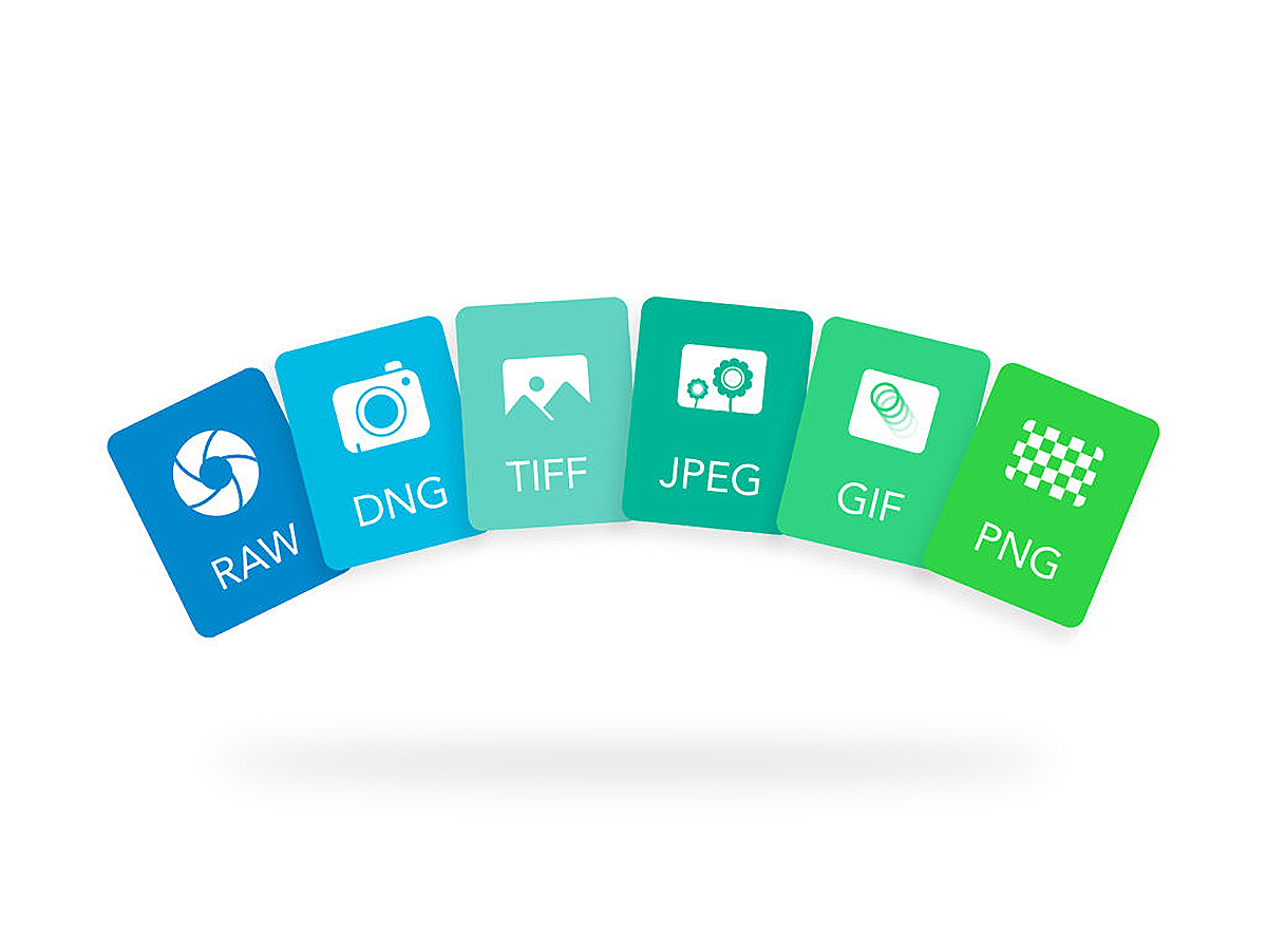 Abundantly landsby undskyld Differences Between Image File Formats (RAW, DNG, TIFF, GIF, PNG, JPEG)