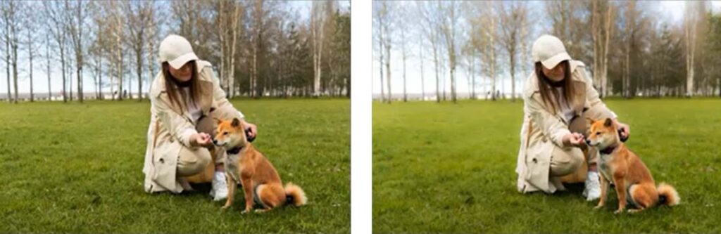 Before and after blurring the background in Lightroom