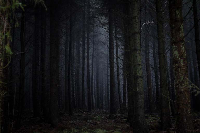 Dark and moody image