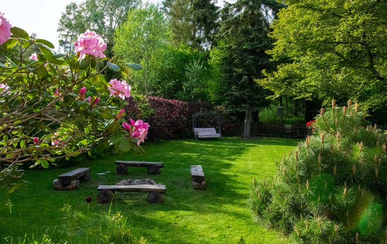 Tips to manually improve your backyard