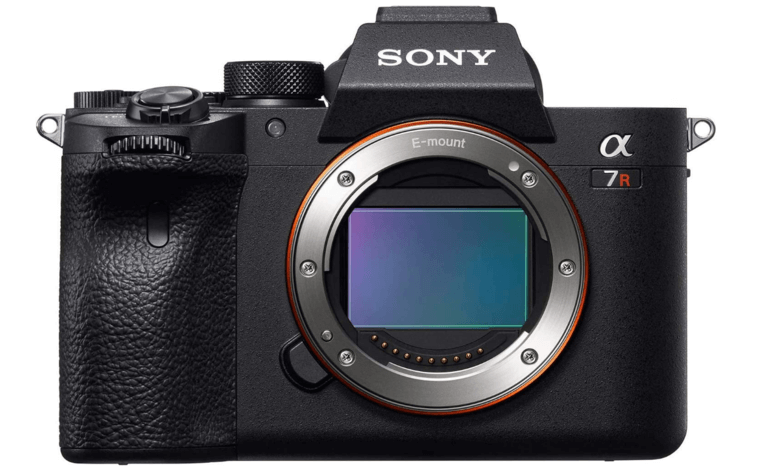 Best digital cameras for beginners, according to photographers