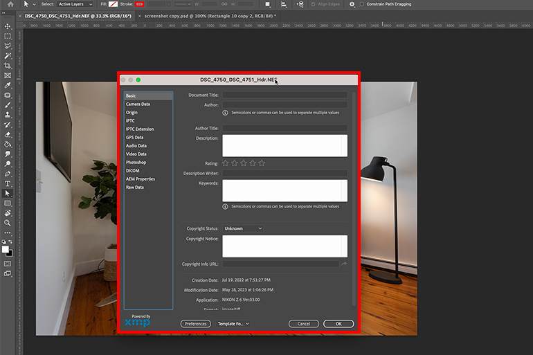 Photoshop Info Adjustment Window