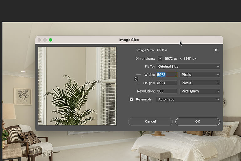 how to scale an image in photoshop without distorting