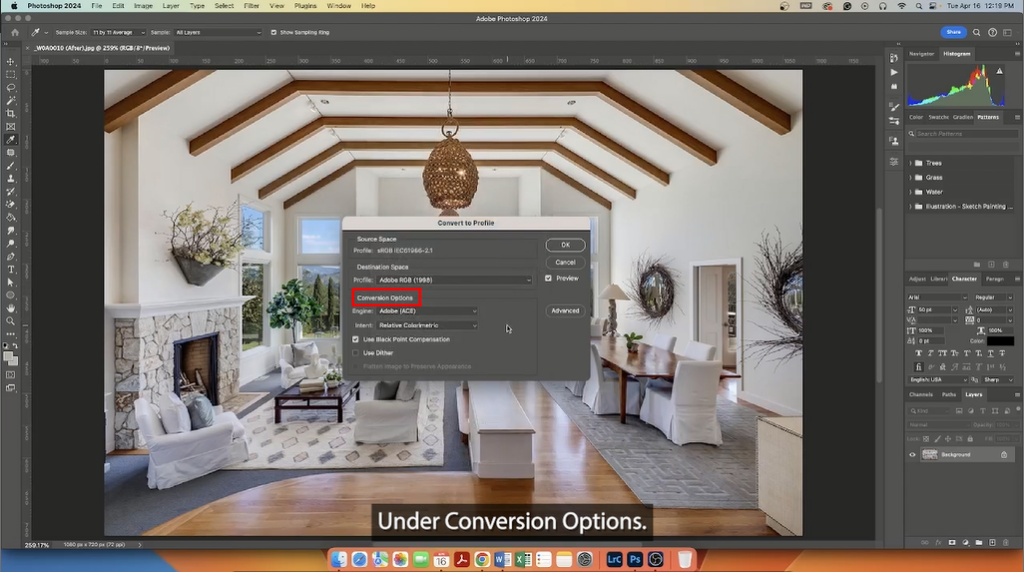 conversion options in Photoshop