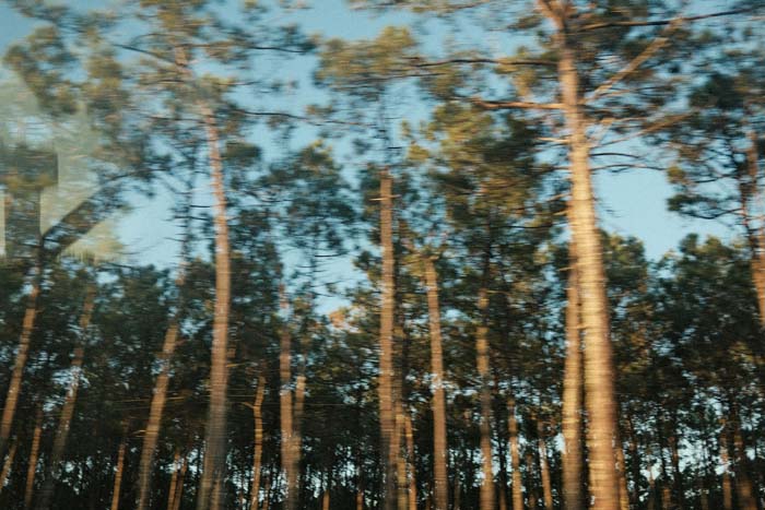 Ghosting in HDR photos