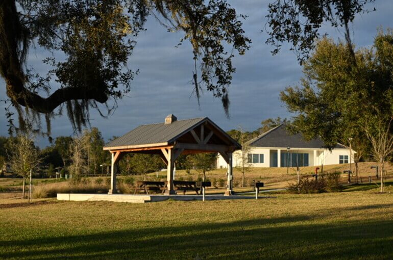 Before: Original Image